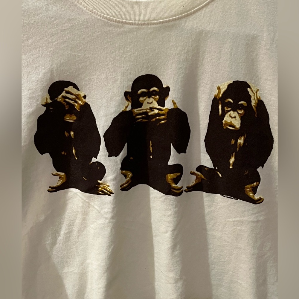 “See No Evil, Speak No Evil, Hear No Evil” boys/girls T. Size 12. Never worn.